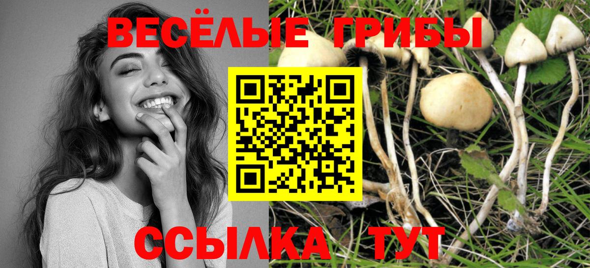 Галлюциногенные грибы прущие грибы  где найти наркотики  Тайшет  Вход с VPN 