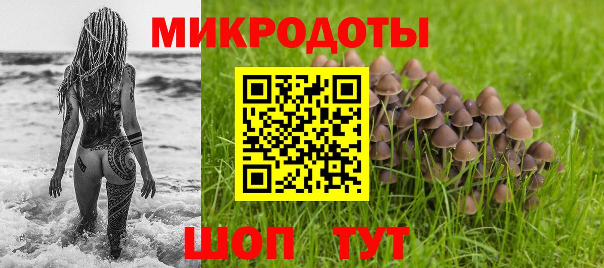 Псилоцибиновые грибы мухоморы Тайшет